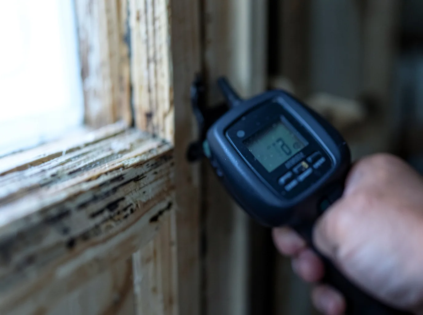 Moisture Inspection And Documentation in Clarkdale, AZ